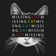 Missing Cat