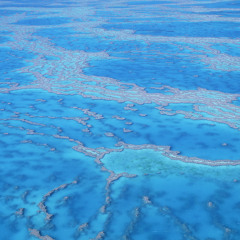 Reload Safe & Away - TheJaneDoze (EDITED)