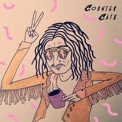 Counter Cats