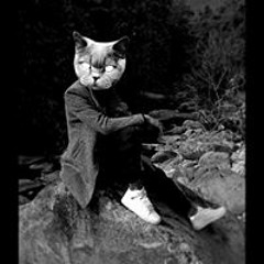 Hoàng Tử Mì Tôm