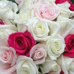 BestSMS4U