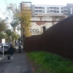 The Mad Dog Harrisons