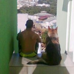 Angelo Augusto Beraldo