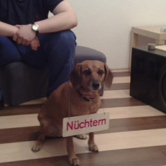 McHorst
