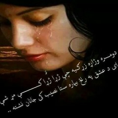 user124846557
