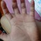 user169020268