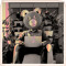 beartoons