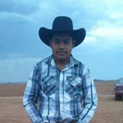 Fernando Roman Castañeda