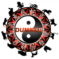 DJ Dummer