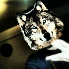 Wilson El Papi Guzman