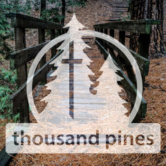 Thousand Pines