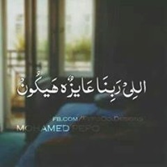 Mohamed Ahmed Araby