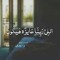 Mohamed Ahmed Araby