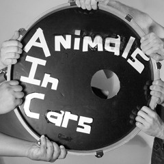 Animals in Cars