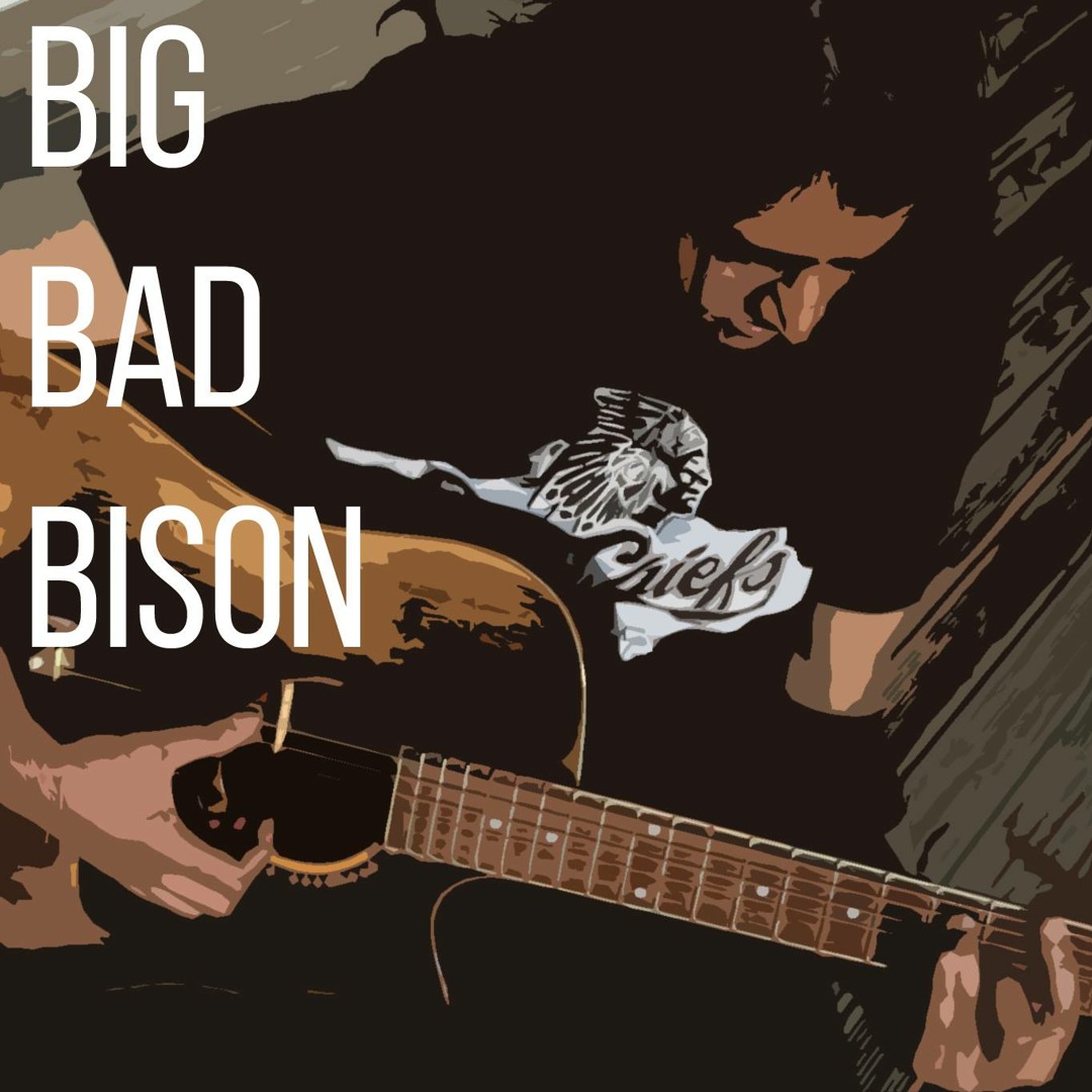 Stream Big Bad Bison Band music | Listen to songs, albums, playlists ...