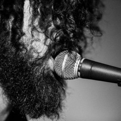 Reptiles (Them Crooked Vultures - Soul Cover)