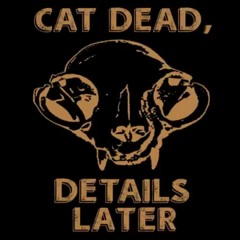 Cat Dead, Details Later