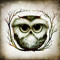 Owl RighT