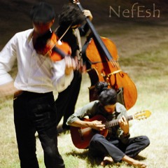 NefEsh trio