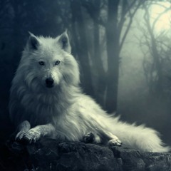 Wolf's Memories
