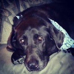 Carly Crisafulli Brady