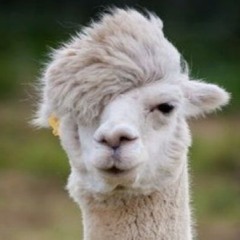 llama overlord 265