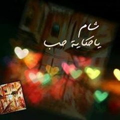 عمار صرصر