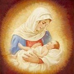 تمجيد الشهيد ونس (320 kbps).mp3