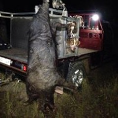 Ryan John O'Donoghue