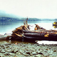 cedar sound