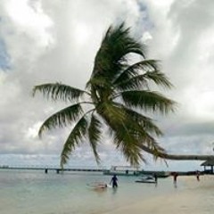 user461112025