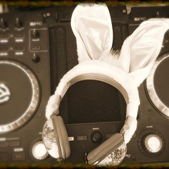 The Fine Vinyl Bunny