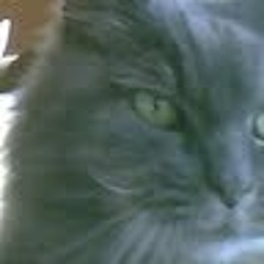 Computer Man - Nightcore