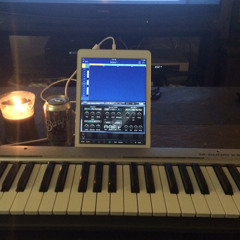 Steady Future updated