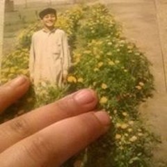 Aamir Khan