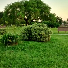 user601781768