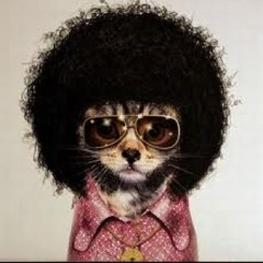 AfroCat