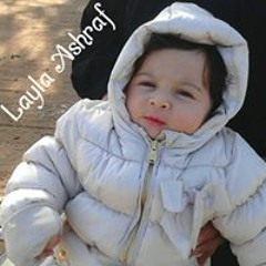 Ashraf Shahat