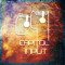 Capitol-Input