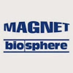 Magnet / Biosphere Record
