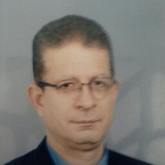 yousry abdelrhem