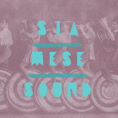 SIAMESE SOUND