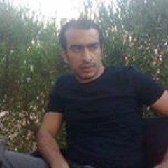 Wael Bayoumy Mohamed
