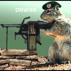 DNWAN Freestyles