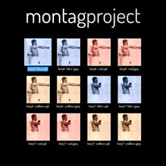 Montagproject