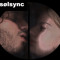 Sølsync