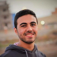 Muhammed Abou L Fotouh