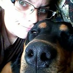 Rocky Drivesarocketship