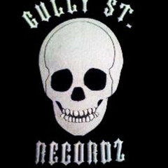 Gully St Recordz