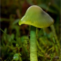 Make Sounds Wonderful